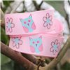 Order  Animal Cuties - Owls Pink 
